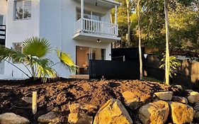 Location Location, Sunshine Beach, 100 M To Beach